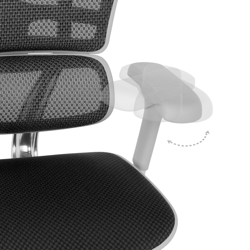 Ергономичен офис стол Ergohuman Elite 2 черен-сива рамка